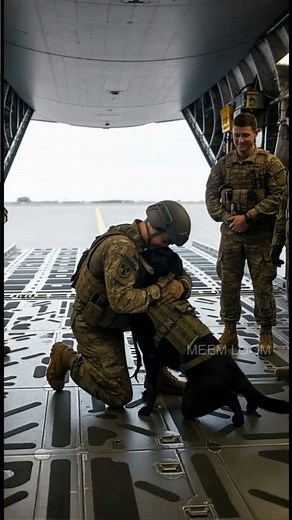 Soldier & His Loyal Dog Return Home Together ❤️🐾✈️