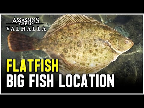 Assassin's Creed Valhalla - Big Flatfish Location