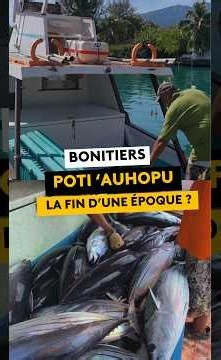 Les bonitiers se font de plus en plus rares en Polynésie