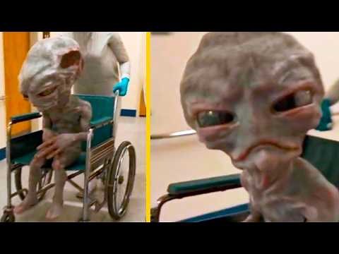 20 Secret Alien Videos You Need to See Before They're Deleted