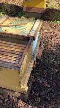 Mouse move out day has arrived.