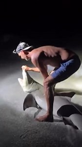 A man was posing for a picture with a shark he just caught when, in the blink of an eye, the predator bit back. Shawn Muese and his friends caught a 6-foot lemon shark on the beach in Boca Grande, Florida. Lemon sharks have teeth that are razor sharp. The fire department arrived in three minutes. Muese had to be hospitalized, but says the gnarly bite is healing. He has a message for the shark that bit him and got away: "See you next time." | Inside Edition