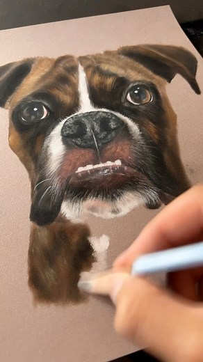 Boxer portrait! Who else had a boxer pup!?🐾✍🏼🐕 | Eye Artist