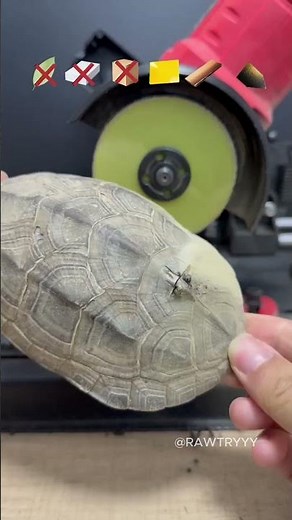 What Material Can Cut a Turtle Shell? 🐢⚡ (Replica Test)