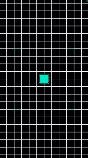 Blackbox Puzzle 78 (Type 47)