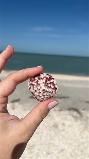 Hello from Turner Beach on Captiva Island, Florida! 🐚 This beach is a seashell haven and a popular fishing spot. 🌅 It’s a great place to watch the sunset. 🅿️ Parking lot is very close to beach. It is limited so arrive early. Fee is $5/hr. Click here to learn more: https://bit.ly/3RqkJOb #MyFortMyers #TurnerBeach #CaptivaIsland | Visit Fort Myers