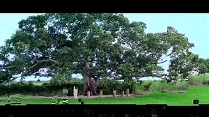 3.4K views | COMING SOON. NURABI - the VIRGIN (A Web Series) Premiere show only on MAMI Tv. Watch this space for more updates and the date of release. | MAMI TV Network | Facebook