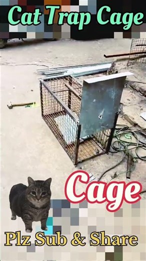 Cat Trap Cage #cat #trap #cage #birds #birdslovers #2026 #catllover