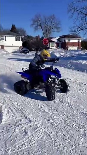 Yamaha Raptor 250