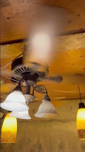 Hampton Bay Cameron II Plus Ceiling Fans From The Restaurant