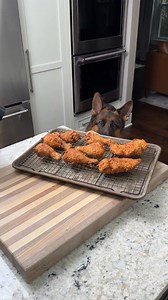 Recipe coming later today 😂 #grillinwithdad #friedchicken | Grilling with dad
