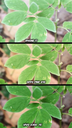 Oppo Find X9s Vs Vivo X300 Fe vs iPhone 17 Photography Test Camera Testing zoom test Best Phone 2026