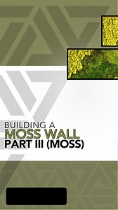 7.6K views · 177 reactions | Part 3 of the large moss wall installation for @mingobeaverton . It’s finally time to cover everything in @supermoss ! Build your own moss wall, check profile for details  #moss #mosswall #art #tutorial #howto #plants #diy #Portland | Johnathon Q Swanson | Facebook