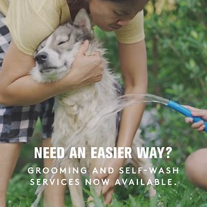 Visit our new Boulder store for pet food, supplies and grooming. Plus, personalized pet wellness advice. ❤️ | Chuck & Don's Pet Food & Supplies | Facebook