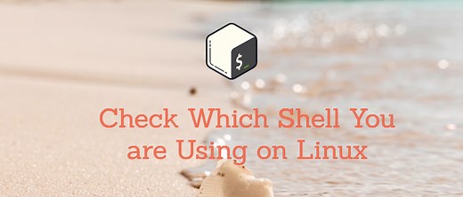4 Ways to Check Which Shell You are Using on Linux