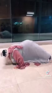 92K views · 1.7K reactions | Escenas eliminadas de harry potter y el príncipe mestizo: | Cosas De Potterheads | Facebook