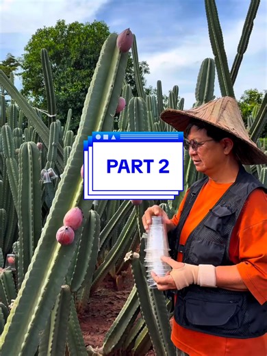 Editing XML Files for Copyright Management