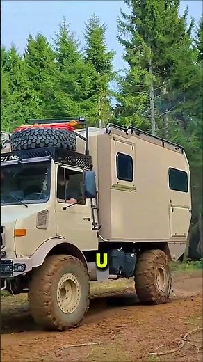 Arnold Schwarzenegger’s $4M Car Collection: Classic Muscle, Luxury, and Eco-Friendly Rides