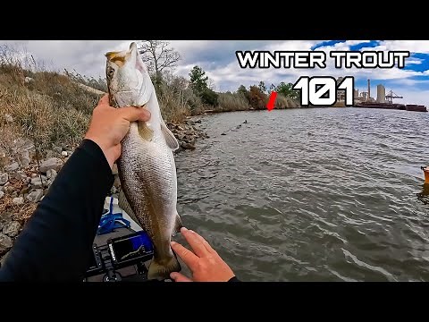 Winter Trout MASTERCLASS – Catch Speckled Trout When No One Else Can!