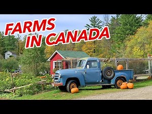 Living in Canada | What farms in Ontario look like