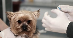 Video by Gustavo Fring on Pexels