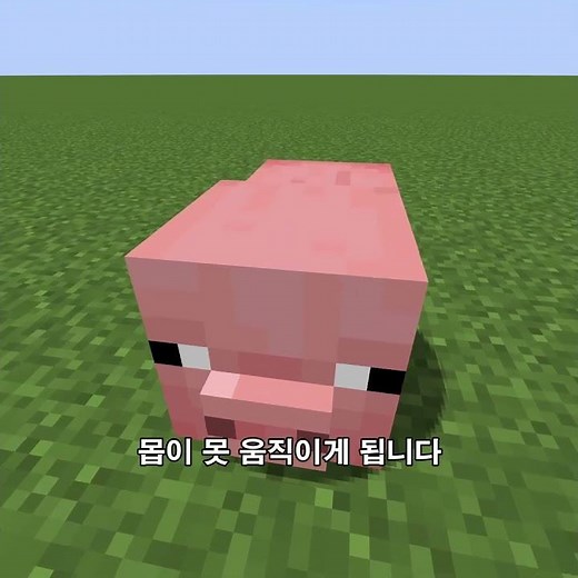 마크 안 움직이는 몹 소환하는 명령어