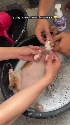 relaxed na relaxed ang nala tombits 😭 #trexy | nala stomps