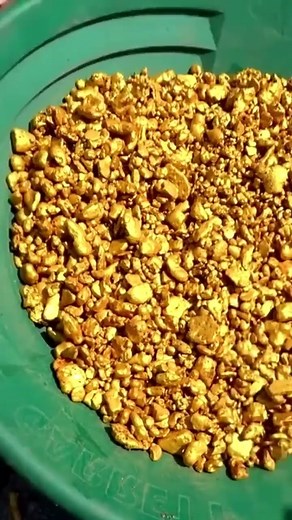 Is YUKON Experiencing the BIGGEST GOLD Rush in History Right Now? 😲