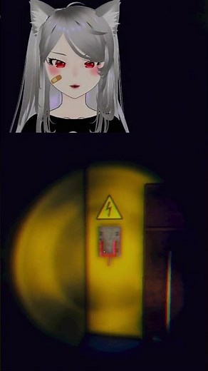 Olhei as câmeras e já faltou luz no terrorzinho 🥀