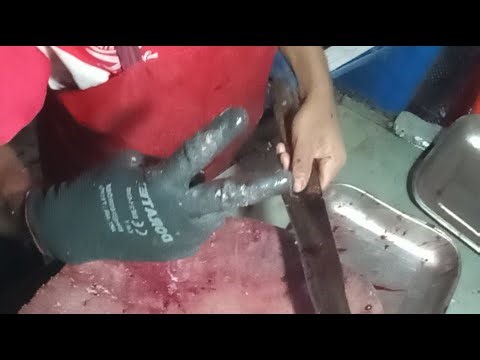 #youtubeshorts #viralvideo #new #trending #minivlog #chandofficialstar