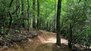 'Pisgah Passage' becomes official name for 20-mile trail linking forest and city