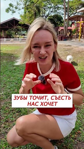 «Гуси гуси га га га» Учимся говорить звукоподражания
