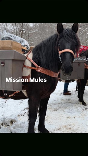 1.3K views · 2K reactions | Preparation is key...there are many steps...