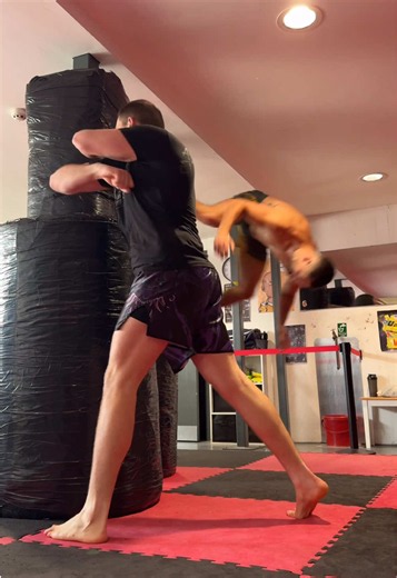 Which training style is more effective? 🤔 __________________________ #finishingmoves #mma #muaythai #bjj #wrestling