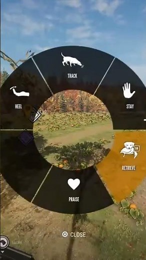 Cotw Rabbit With The Iron Sights #gaming #cotwgameplay #jjdstreams #huntinggame