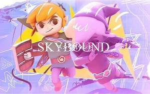 SKYBOUND——Toon Link/卡通林克 击杀集锦