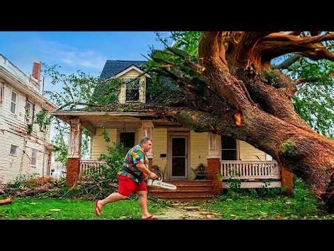 Idiots With Chainsaws: Tree Cutting Fails | Extreme Dangerous Logging Truck Fails #73