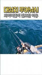 대삼치이빨은 칼날입니다 #낚시 #삼치낚시 #루어낚시