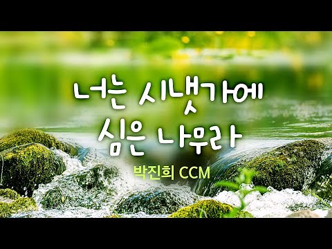 너는 시냇가에 심은 나무라 / 박진희 BEST CCM