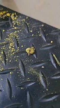 Don't Ruin your Camper - Mud Dauber Nest in Water Tank Vent