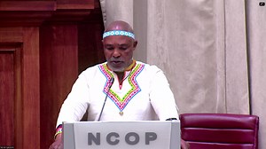 26 reactions | Deputy President Paul Mashatile addresses the NCOP | Paul Mashatile | Facebook