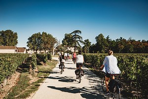 Electric Bike Full Day Tour of Saint Émilion Wines & Chateaux