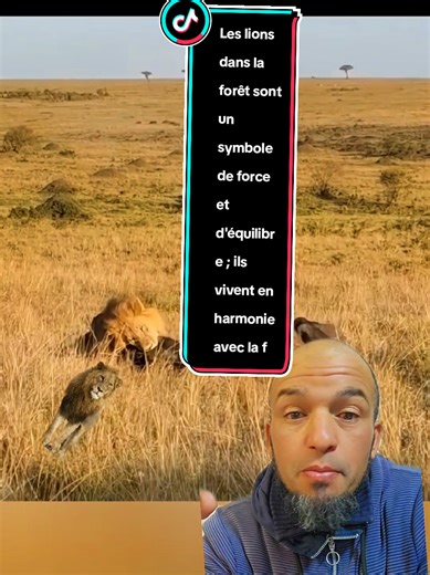Les lions dans la forêt sont un symbole de force et d'équilibre ; ils vivent en harmonie avec la faune sauvage, maintenant l'ordre et protégeant la chaîne alimentaire #Faune #Lions #Nature