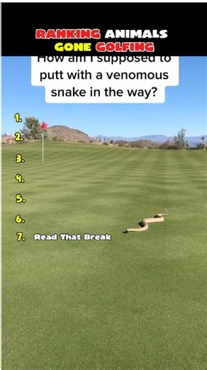 Ranking Animals Gone Golfing | Wild Golf Encounters #golfranking