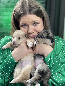 162K views · 9.1K reactions | Oreo și Maya, două minuni! Ambii au fost astăzi invitați la podcastul Ioanei Cosma. Găsiți pe câmp, înfrigurați și speriați. Așa cum spune și @Ioana Cosma : Asta se întâmplă dacă nu ne sterilizăm animalele. Găsim pe stradă pui mici și orfani. Mulțumim, Ioana Cosma! Pentru implicarea ta. | Adăpostul Speranța | Facebook