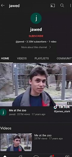 Historic First Video on YouTube Explained