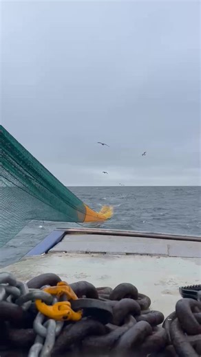 F.J. Productions on Reels