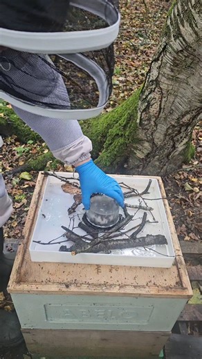 🐝 Quick beekeeping tip for winter feeders! 🍯 If you’ve got bees struggling to clean out the last bit of syrup from their feeders, it might not be laziness... they simply can’t reach it. A slightly tilted hive, awkward feeder angle, or just low syrup levels can make it tricky for them. Here’s an easy fix: 👉 Fill the feeder with a handful of sticks or twigs 👉 Remove the lid over their access point 👉 The bees will climb onto the floating sticks and use them as little platforms to slurp up the 