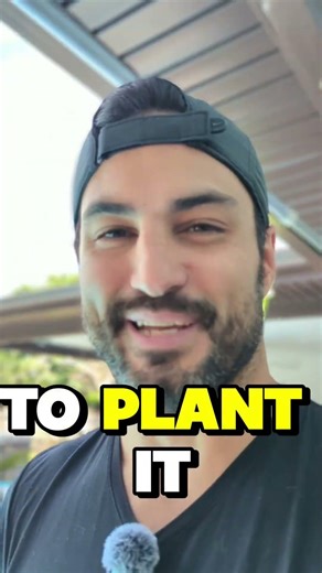 How to grow fresh food from your pantry