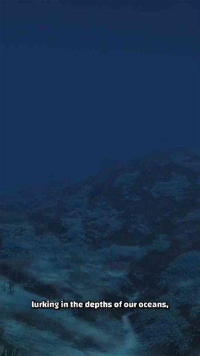 The octopus; an alien among us?